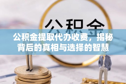 红原公积金提取代办收费，揭秘背后的真相与选择的智慧