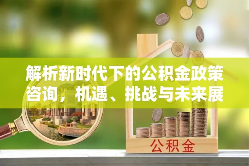 红原解析新时代下的公积金政策咨询，机遇、挑战与未来展望