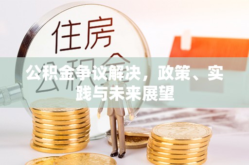 红原公积金争议解决，政策、实践与未来展望