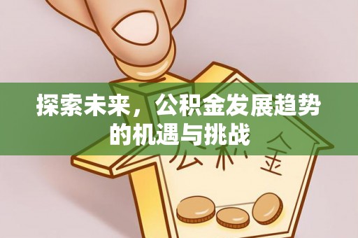 红原探索未来，公积金发展趋势的机遇与挑战
