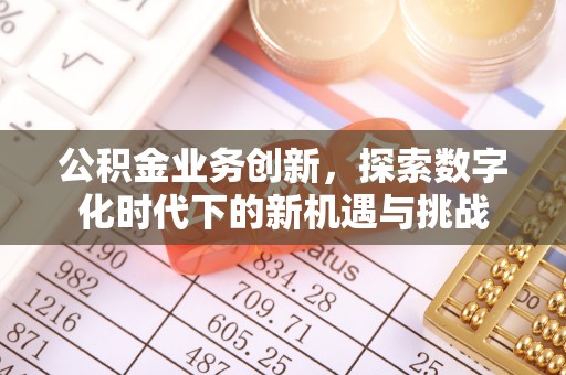 红原公积金业务创新，探索数字化时代下的新机遇与挑战