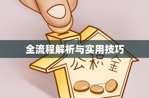 红原全流程解析与实用技巧