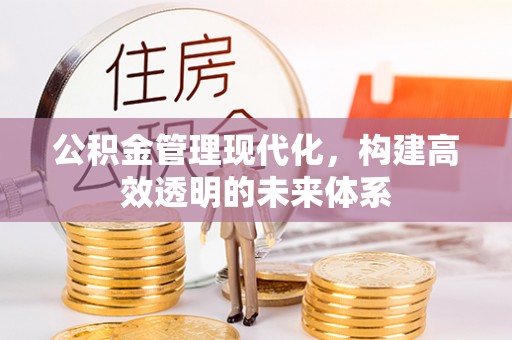 红原公积金管理现代化，构建高效透明的未来体系