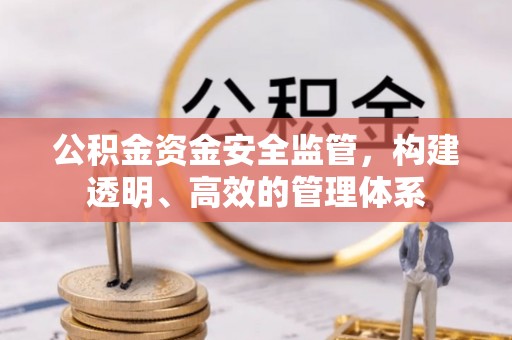 红原公积金资金安全监管，构建透明、高效的管理体系