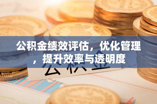 红原公积金绩效评估，优化管理，提升效率与透明度