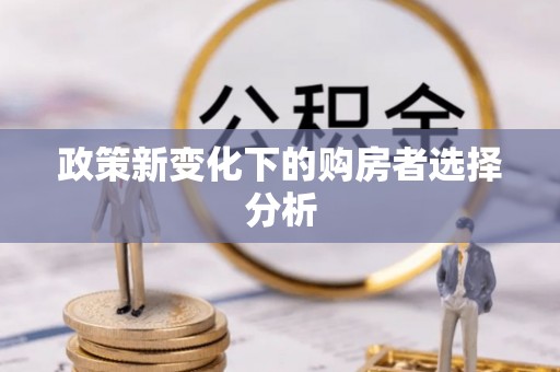 红原政策新变化下的购房者选择分析