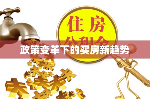 红原政策变革下的买房新趋势