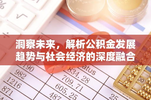 红原洞察未来，解析公积金发展趋势与社会经济的深度融合