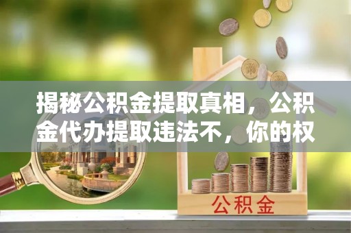 红原揭秘公积金提取真相，公积金代办提取违法不，你的权益如何保障？