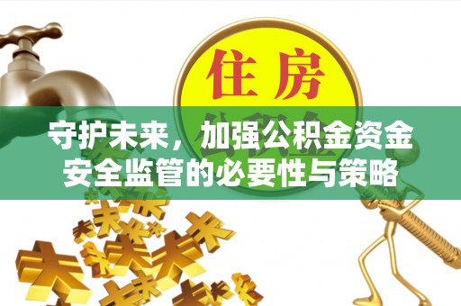 红原守护未来，加强公积金资金安全监管的必要性与策略