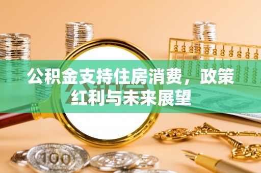 红原公积金支持住房消费，政策红利与未来展望