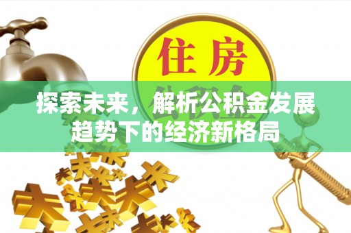 红原探索未来，解析公积金发展趋势下的经济新格局