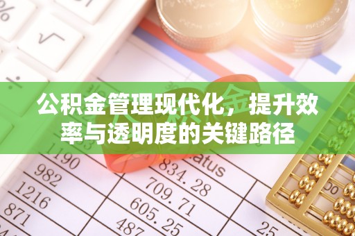 红原公积金管理现代化，提升效率与透明度的关键路径