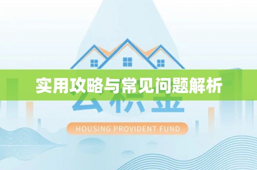 红原实用攻略与常见问题解析