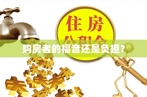 红原购房者的福音还是负担？