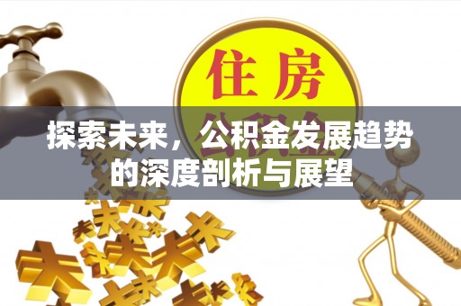 红原探索未来，公积金发展趋势的深度剖析与展望