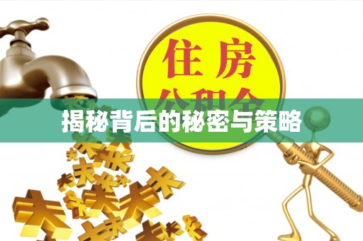 红原揭秘背后的秘密与策略