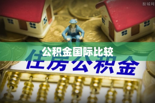 红原公积金国际比较