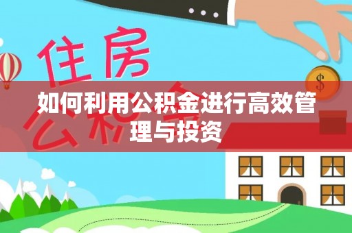 红原如何利用公积金进行高效管理与投资