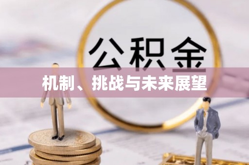 红原机制、挑战与未来展望