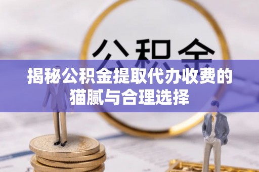 红原揭秘公积金提取代办收费的猫腻与合理选择
