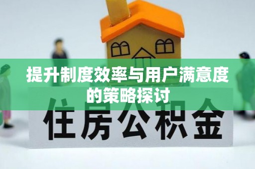 红原提升制度效率与用户满意度的策略探讨